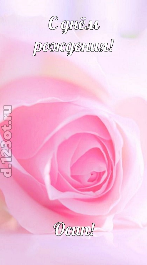 неординарная открытка с днём рождения осип, скачать онлайн бесплатно на iphone для вацап, поздравление осип