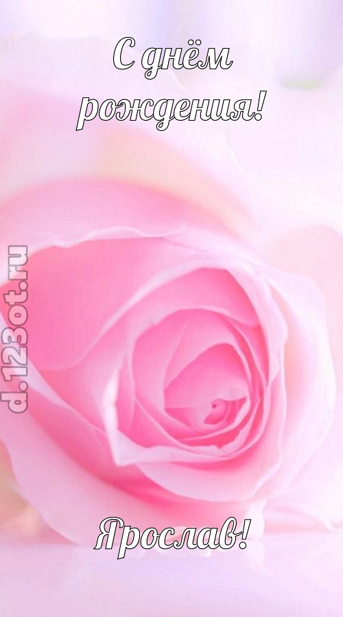 неординарная открытка с днём рождения ярослав, скачать онлайн бесплатно на iphone для вацап, поздравление ярослав