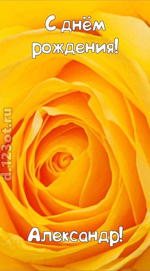 неотразимая открытка с днём рождения александр, скачать онлайн бесплатно на iphone для вацап, поздравление александр