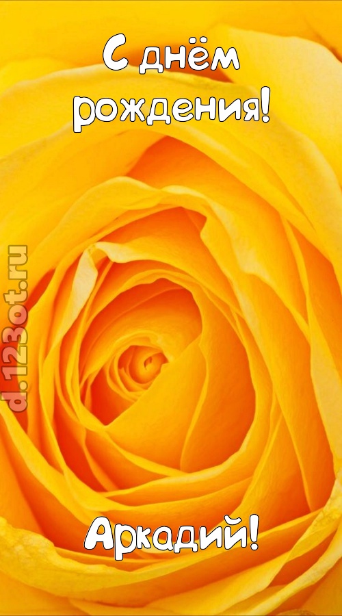 неотразимая открытка с днём рождения аркадий, скачать онлайн бесплатно на iphone для вацап, поздравление аркадий