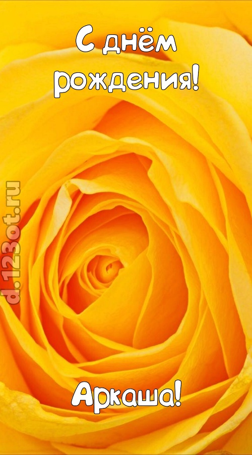 неотразимая открытка с днём рождения аркаша, скачать онлайн бесплатно на iphone для вацап, поздравление аркаша