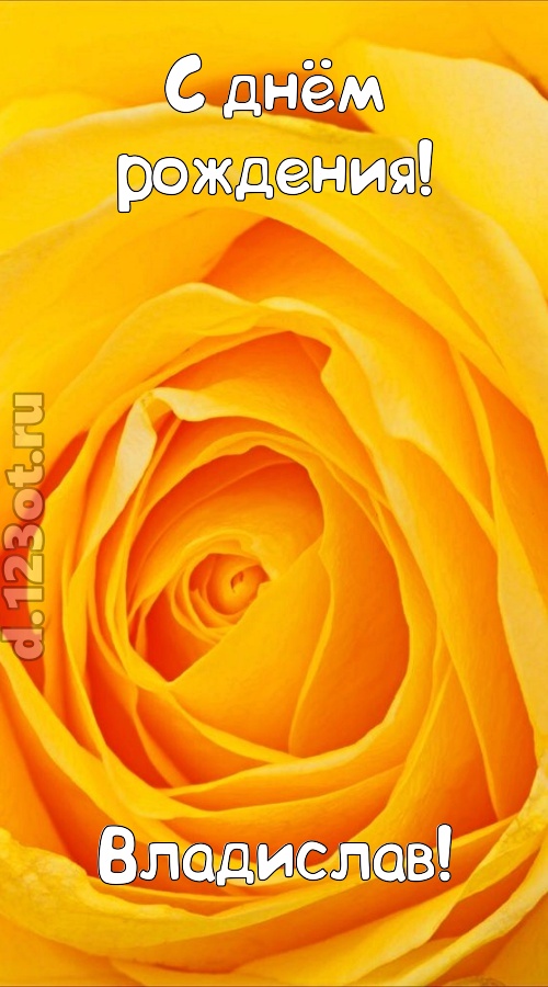 неотразимая открытка с днём рождения владислав, скачать онлайн бесплатно на iphone для вацап, поздравление владислав