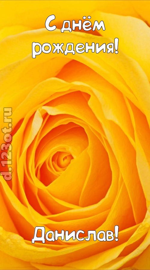 неотразимая открытка с днём рождения данислав, скачать онлайн бесплатно на iphone для вацап, поздравление данислав
