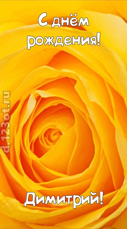 неотразимая открытка с днём рождения димитрий, скачать онлайн бесплатно на iphone для вацап, поздравление димитрий