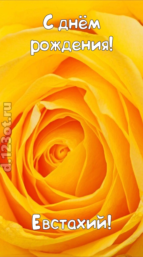 неотразимая открытка с днём рождения евстахий, скачать онлайн бесплатно на iphone для вацап, поздравление евстахий