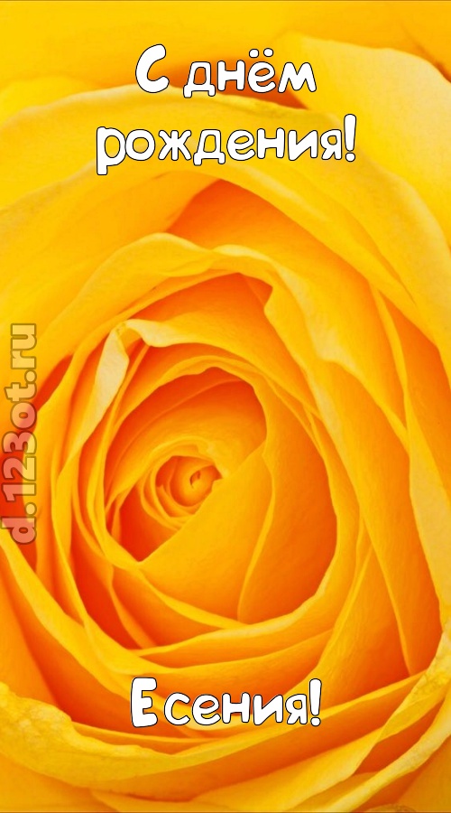 неотразимая открытка с днём рождения есения, скачать онлайн бесплатно на iphone для вацап, поздравление есения