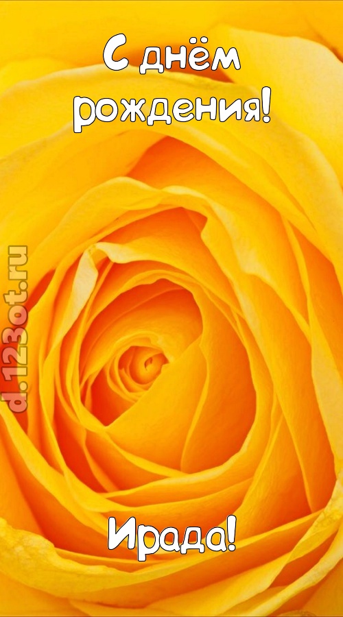 неотразимая открытка с днём рождения ирада, скачать онлайн бесплатно на iphone для вацап, поздравление ирада