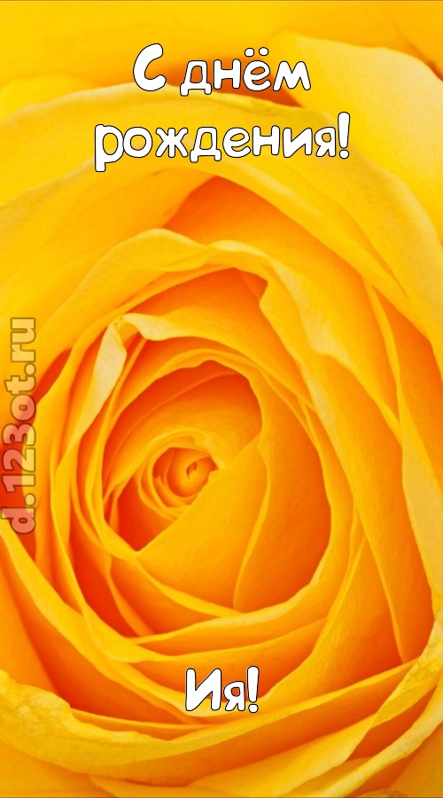 неотразимая открытка с днём рождения ия, скачать онлайн бесплатно на iphone для вацап, поздравление ия