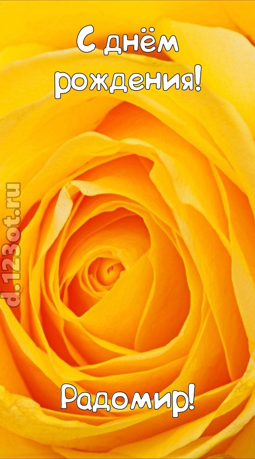неотразимая открытка с днём рождения радомир, скачать онлайн бесплатно на iphone для вацап, поздравление радомир