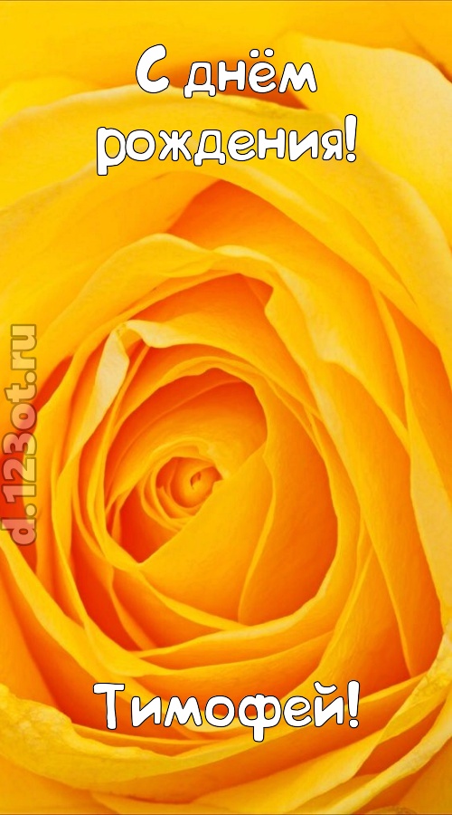 неотразимая открытка с днём рождения тимофей, скачать онлайн бесплатно на iphone для вацап, поздравление тимофей