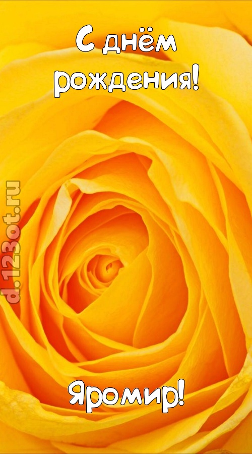 неотразимая открытка с днём рождения яромир, скачать онлайн бесплатно на iphone для вацап, поздравление яромир