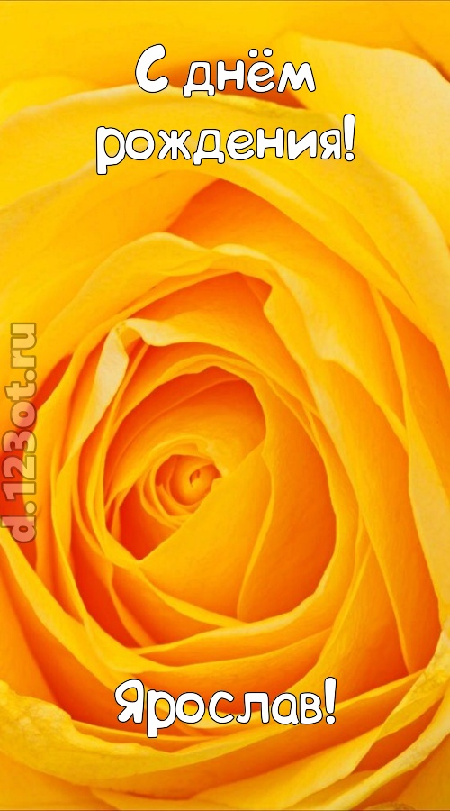 неотразимая открытка с днём рождения ярослав, скачать онлайн бесплатно на iphone для вацап, поздравление ярослав