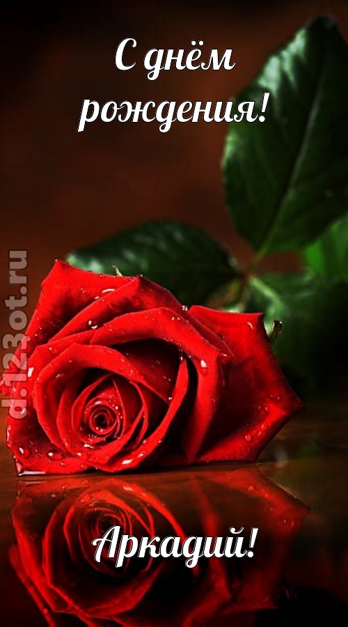 неповторимая открытка с днём рождения аркадий, скачать онлайн бесплатно на iphone для вацап, поздравление аркадий