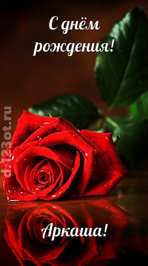 неповторимая открытка с днём рождения аркаша, скачать онлайн бесплатно на iphone для вацап, поздравление аркаша