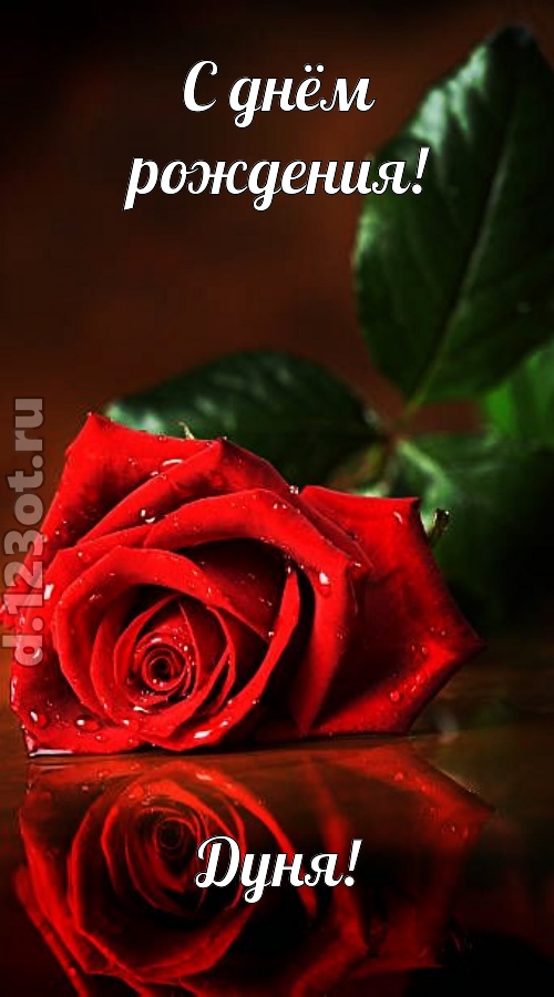 неповторимая открытка с днём рождения дуня, скачать онлайн бесплатно на iphone для вацап, поздравление дуня