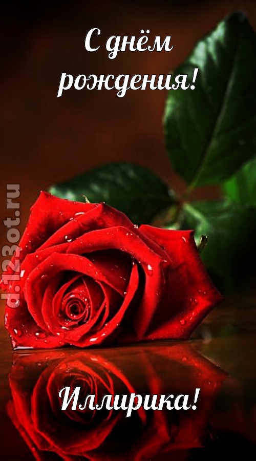 неповторимая открытка с днём рождения иллирика, скачать онлайн бесплатно на iphone для вацап, поздравление иллирика