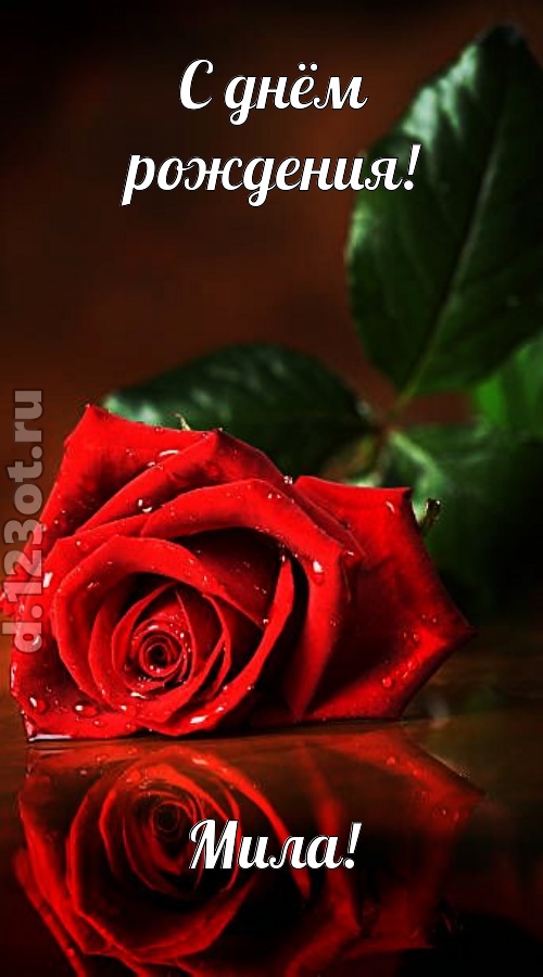 неповторимая открытка с днём рождения мила, скачать онлайн бесплатно на iphone для вацап, поздравление мила