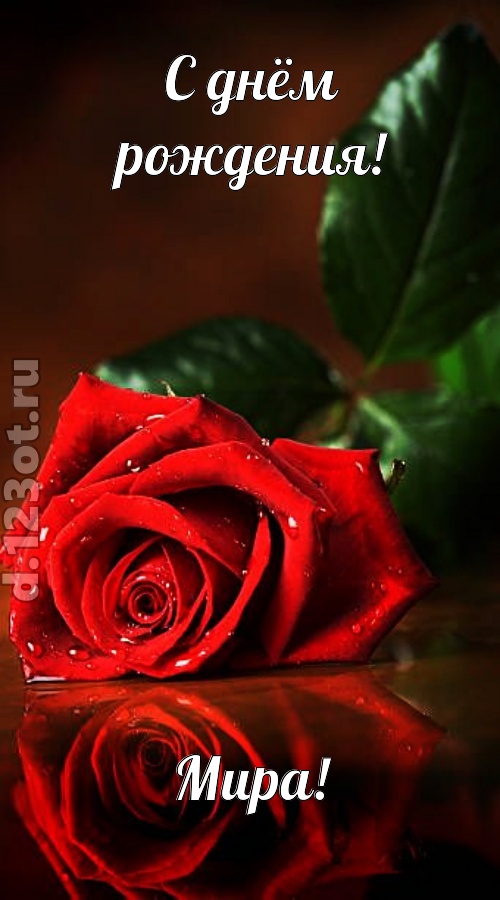 неповторимая открытка с днём рождения мира, скачать онлайн бесплатно на iphone для вацап, поздравление мира