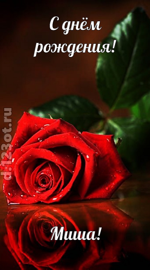 неповторимая открытка с днём рождения миша, скачать онлайн бесплатно на iphone для вацап, поздравление миша