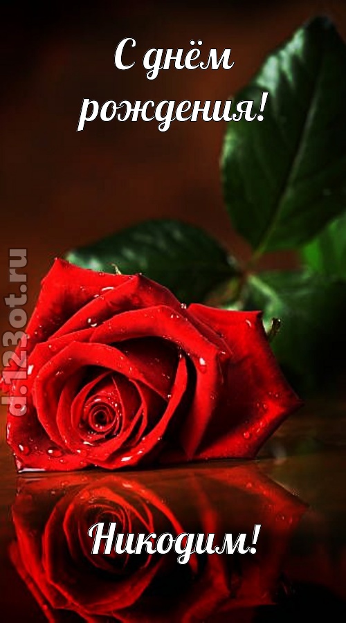 неповторимая открытка с днём рождения никодим, скачать онлайн бесплатно на iphone для вацап, поздравление никодим