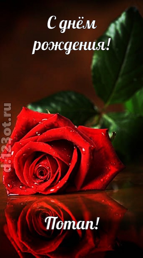неповторимая открытка с днём рождения потап, скачать онлайн бесплатно на iphone для вацап, поздравление потап