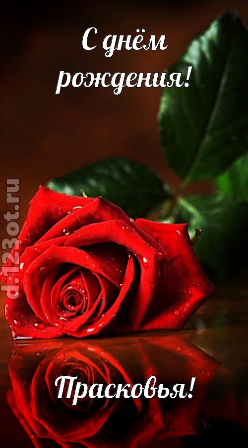 неповторимая открытка с днём рождения прасковья, скачать онлайн бесплатно на iphone для вацап, поздравление прасковья