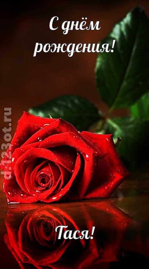 неповторимая открытка с днём рождения тася, скачать онлайн бесплатно на iphone для вацап, поздравление тася