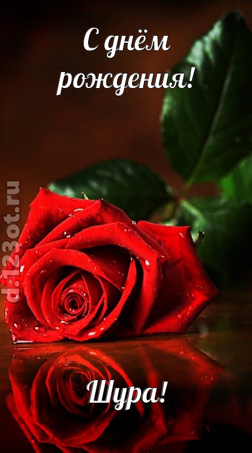 неповторимая открытка с днём рождения шура, скачать онлайн бесплатно на iphone для вацап, поздравление шура