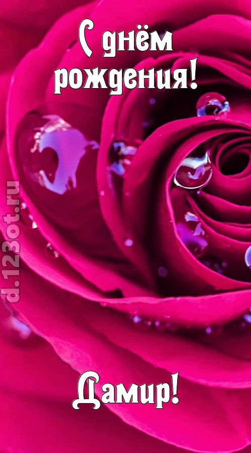 неповторимо интересная открытка с днём рождения дамир, скачать онлайн бесплатно на iphone для вацап, поздравление дамир