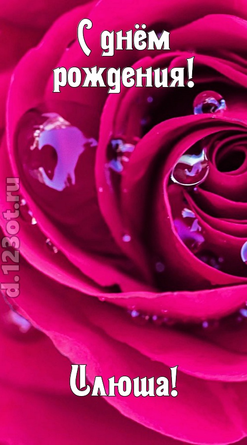 неповторимо интересная открытка с днём рождения илюша, скачать онлайн бесплатно на iphone для вацап, поздравление илюша