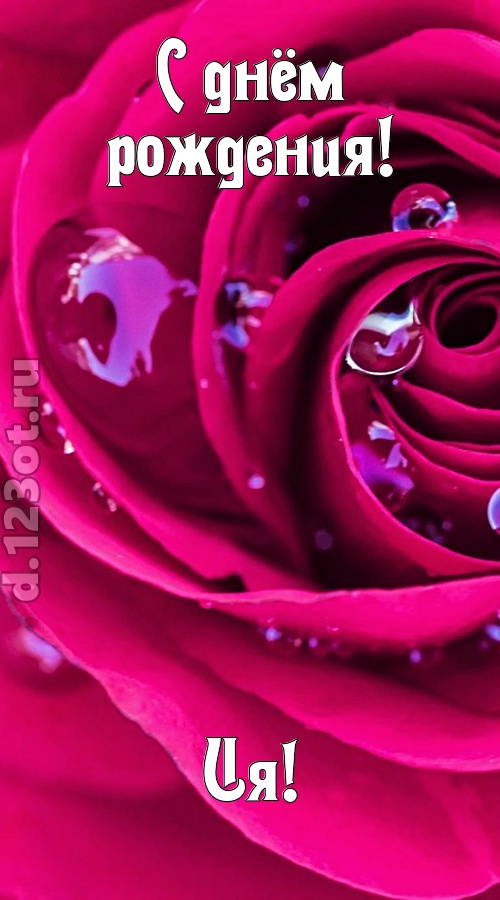 неповторимо интересная открытка с днём рождения ия, скачать онлайн бесплатно на iphone для вацап, поздравление ия