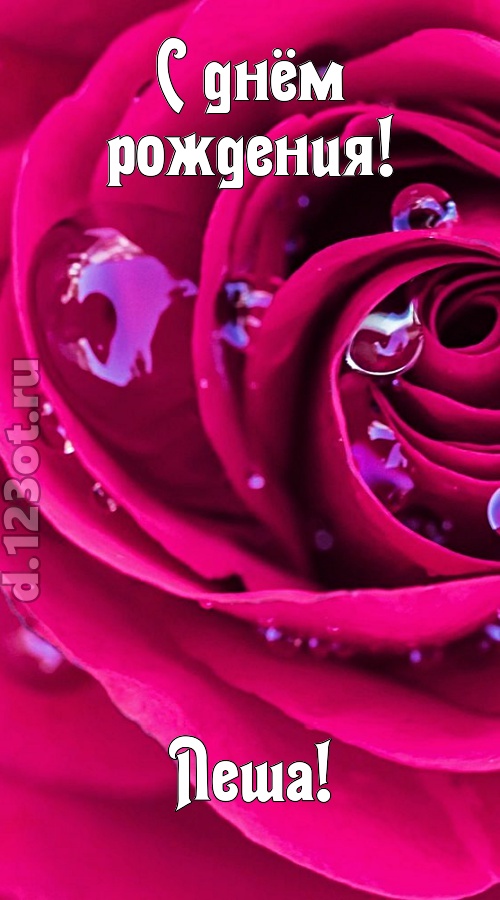 неповторимо интересная открытка с днём рождения леша, скачать онлайн бесплатно на iphone для вацап, поздравление леша