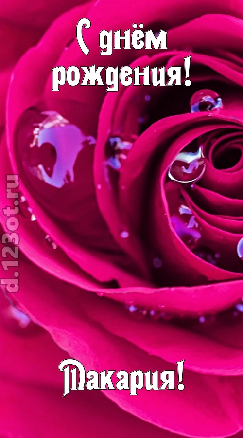неповторимо интересная открытка с днём рождения макария, скачать онлайн бесплатно на iphone для вацап, поздравление макария