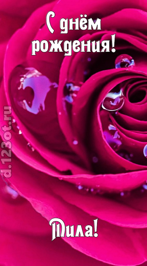 неповторимо интересная открытка с днём рождения мила, скачать онлайн бесплатно на iphone для вацап, поздравление мила
