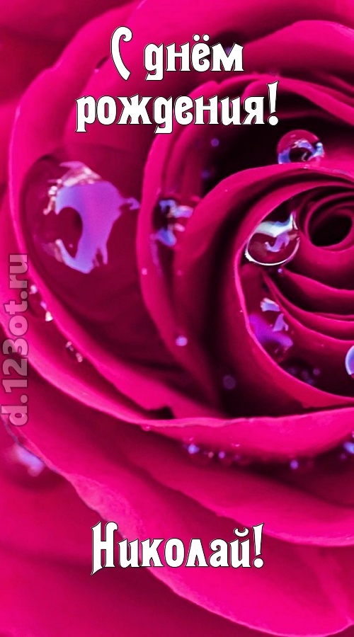неповторимо интересная открытка с днём рождения николай, скачать онлайн бесплатно на iphone для вацап, поздравление николай
