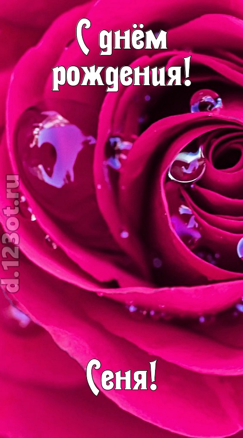 неповторимо интересная открытка с днём рождения сеня, скачать онлайн бесплатно на iphone для вацап, поздравление сеня