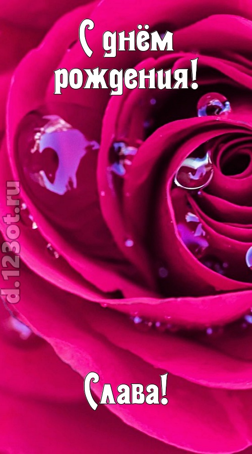 неповторимо интересная открытка с днём рождения слава, скачать онлайн бесплатно на iphone для вацап, поздравление слава