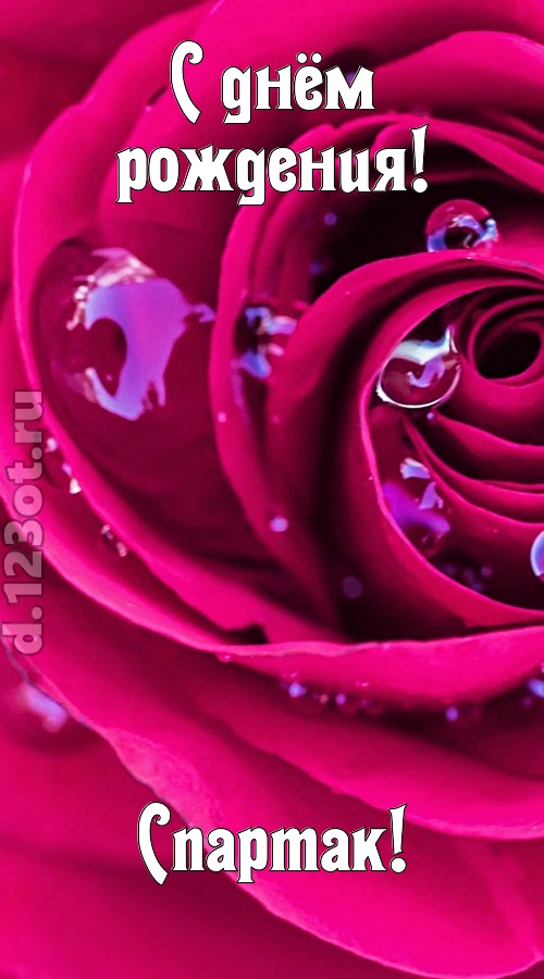 неповторимо интересная открытка с днём рождения спартак, скачать онлайн бесплатно на iphone для вацап, поздравление спартак