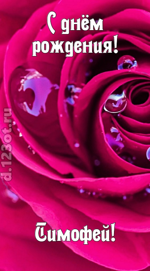 неповторимо интересная открытка с днём рождения тимофей, скачать онлайн бесплатно на iphone для вацап, поздравление тимофей