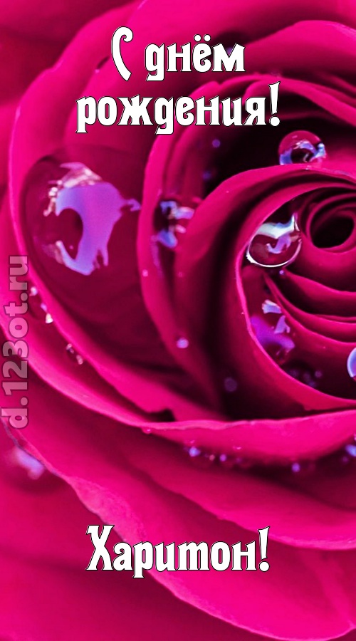 неповторимо интересная открытка с днём рождения харитон, скачать онлайн бесплатно на iphone для вацап, поздравление харитон