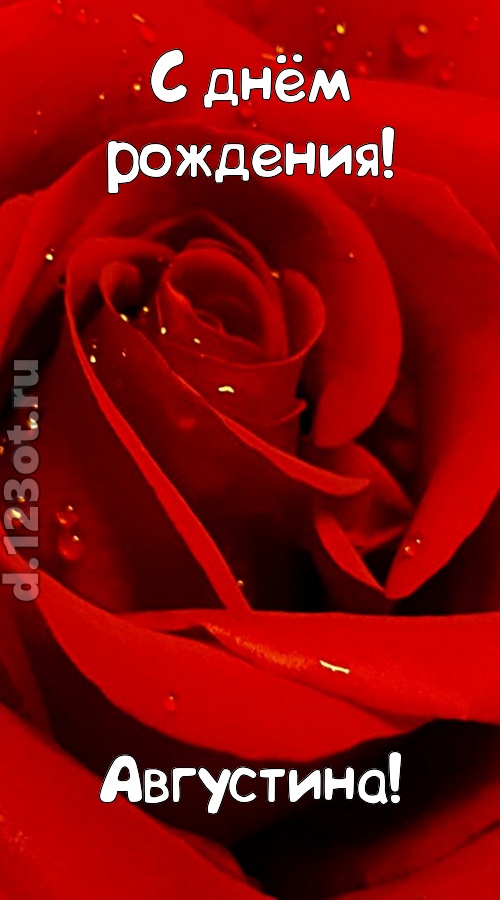 неподкупная открытка с днём рождения августина, скачать онлайн бесплатно на iphone для вацап, поздравление августина