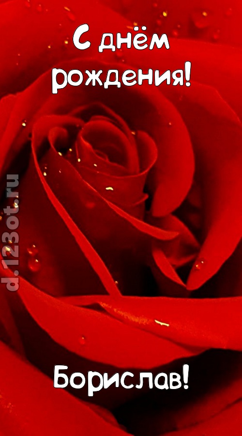 неподкупная открытка с днём рождения борислав, скачать онлайн бесплатно на iphone для вацап, поздравление борислав