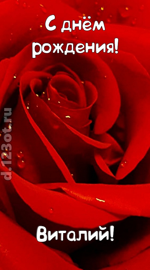 неподкупная открытка с днём рождения виталий, скачать онлайн бесплатно на iphone для вацап, поздравление виталий