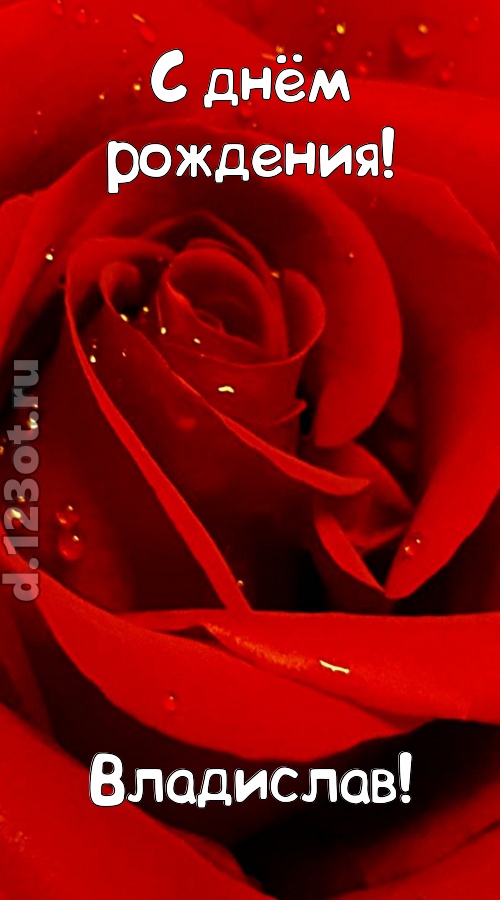 неподкупная открытка с днём рождения владислав, скачать онлайн бесплатно на iphone для вацап, поздравление владислав