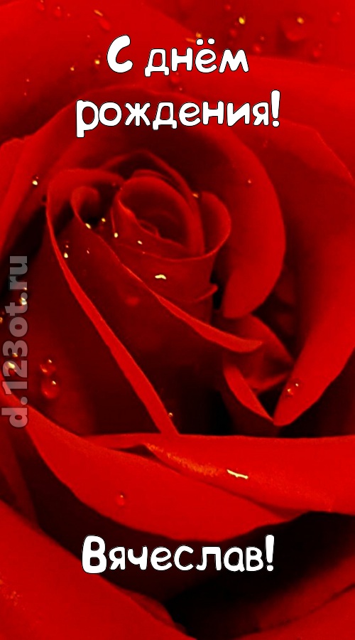 неподкупная открытка с днём рождения вячеслав, скачать онлайн бесплатно на iphone для вацап, поздравление вячеслав