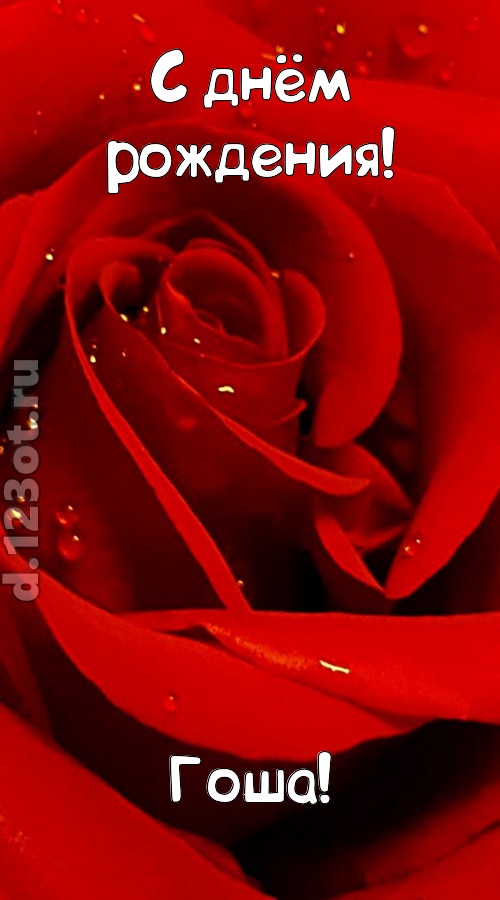 неподкупная открытка с днём рождения гоша, скачать онлайн бесплатно на iphone для вацап, поздравление гоша
