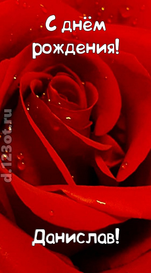 неподкупная открытка с днём рождения данислав, скачать онлайн бесплатно на iphone для вацап, поздравление данислав