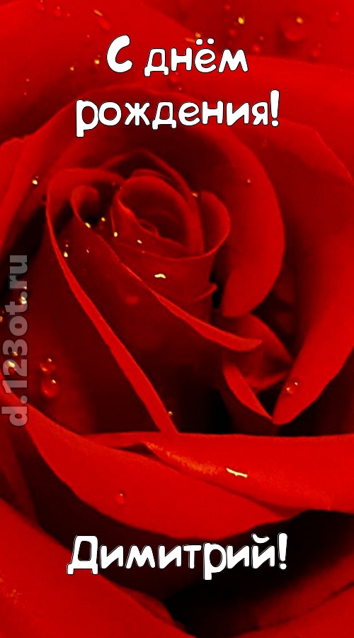 неподкупная открытка с днём рождения димитрий, скачать онлайн бесплатно на iphone для вацап, поздравление димитрий