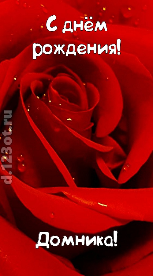 неподкупная открытка с днём рождения домника, скачать онлайн бесплатно на iphone для вацап, поздравление домника