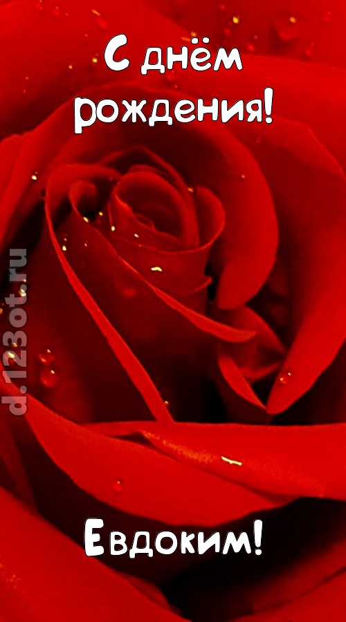 неподкупная открытка с днём рождения евдоким, скачать онлайн бесплатно на iphone для вацап, поздравление евдоким